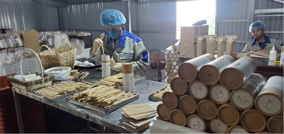 reed straws, biodegradable straw, bamboo straws, natural straws, nature straws, ống hút thiên nhiên, ống hút sậy, ống hút phân hủy sinh học , ống hút mana.st, ống hút môi trường
