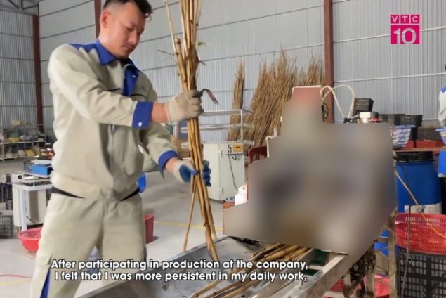 reed straws, biodegradable straw, bamboo straws, natural straws, nature straws, ống hút thiên nhiên, ống hút sậy, ống hút phân hủy sinh học , ống hút mana.st, ống hút môi trường