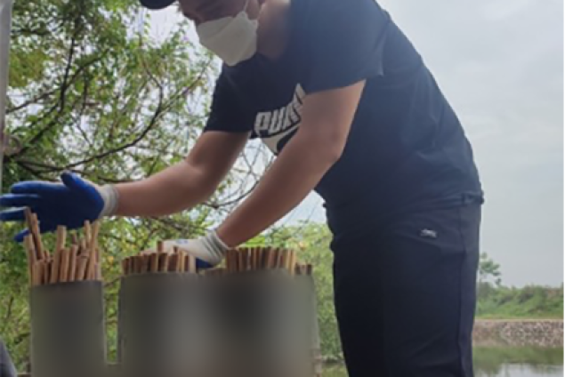 reed straws, biodegradable straw, bamboo straws, natural straws, nature straws, ống hút thiên nhiên, ống hút sậy, ống hút phân hủy sinh học , ống hút mana.st, ống hút môi trường